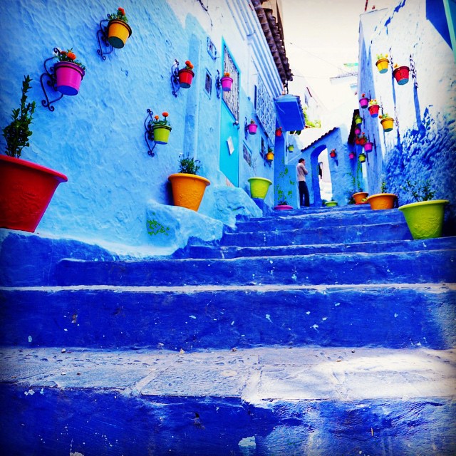 Blue steps lined with colorful flowerpots