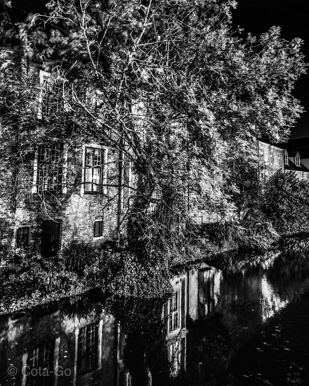 A quiet building reflected in water and surrounded by trees